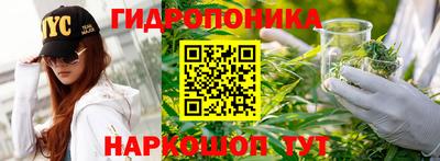 ПСИЛОЦИБИНОВЫЕ ГРИБЫ Среднеуральск